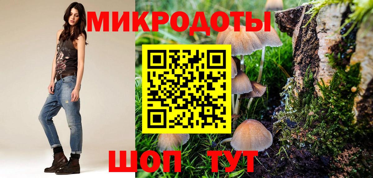 Псилоцибиновые грибы Psilocybine cubensis  Вход с VPN  Аргун 