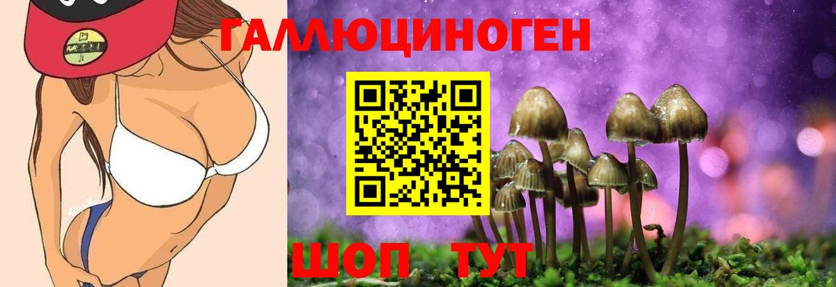 Псилоцибиновые грибы Cubensis Аргун